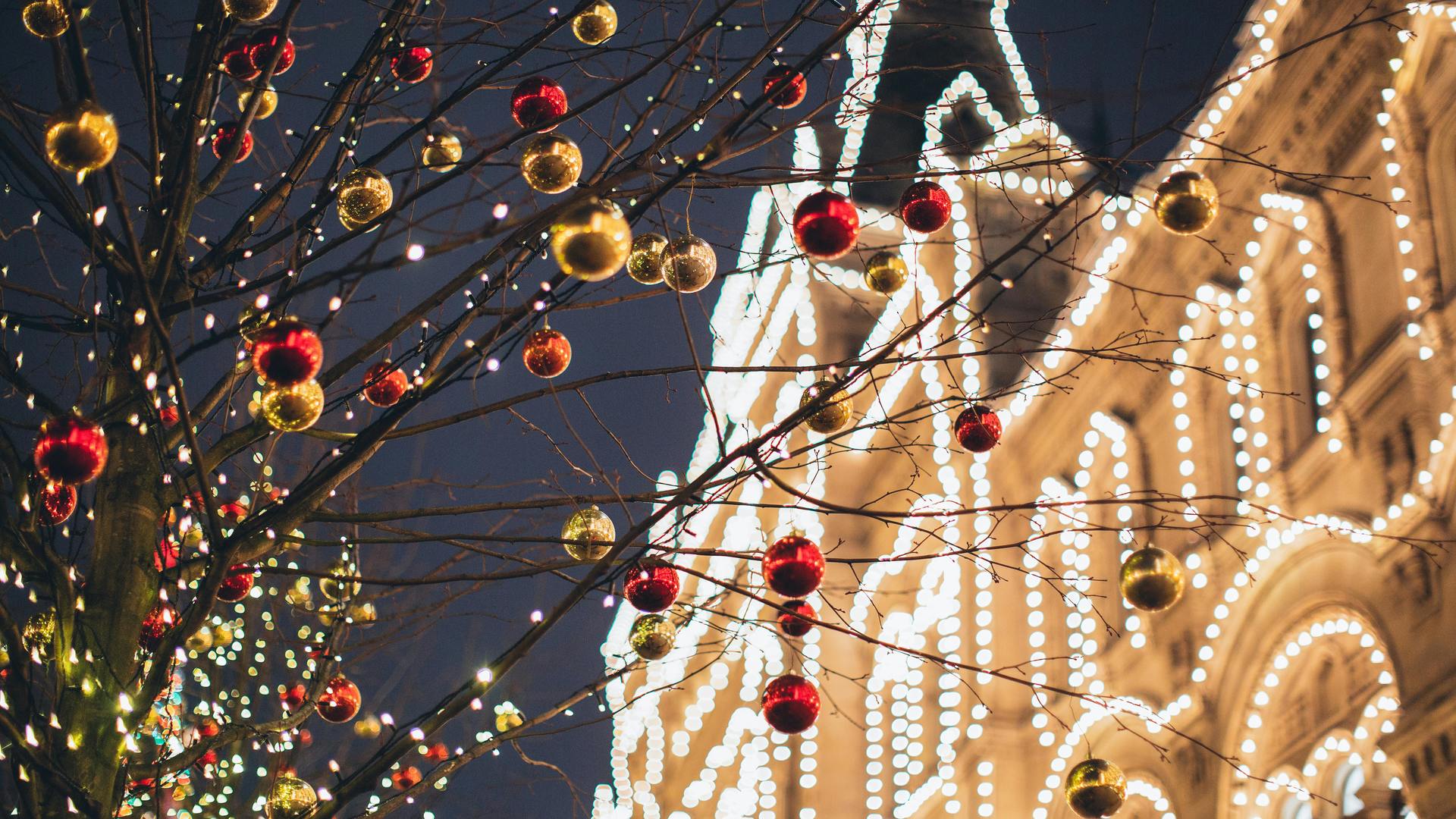 Full-Service Weihnachtsbeleuchtung!